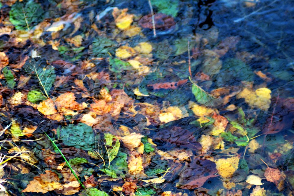 Underwater atmosphere wet