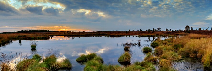 Nature conservation nature reserve nature photo