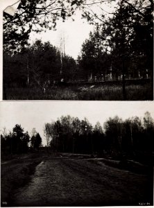 1) Straße bei Waldlager Dubrawa-2) Stützpunkt bei Dubrawa (BildID 15704149)