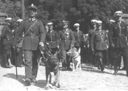 1-P-3368-2,SignaturePublicPhotographs,BattleOfWarsaw1920,NACofPoland