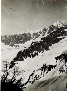 1. Panorama Bild, Presanella, Monte Cercen. (BildID 15583556)