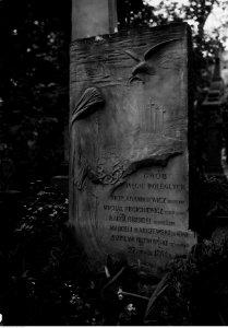 1-U-7296-4,SignaturePublicPhotographs,Warsaw-Cemetery-to1946,NACofPoland