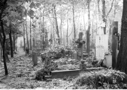 1-U-7296-9,SignaturePublicPhotographs,Warsaw-Cemetery-to1946,NACofPoland