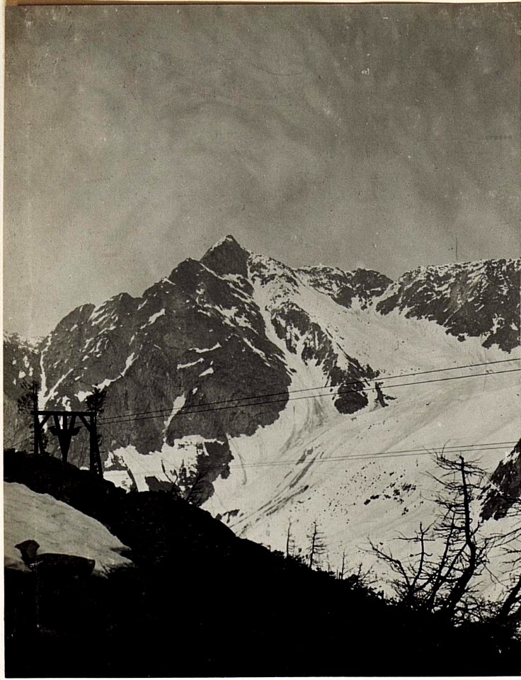 1. Panorama Bild, Monticello Feldwache 39. (BildID 15583535)