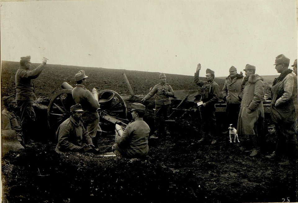 10 cm Feldhaubitze M99 in Feuerstellung an der Strypa. (BildID 15521210)