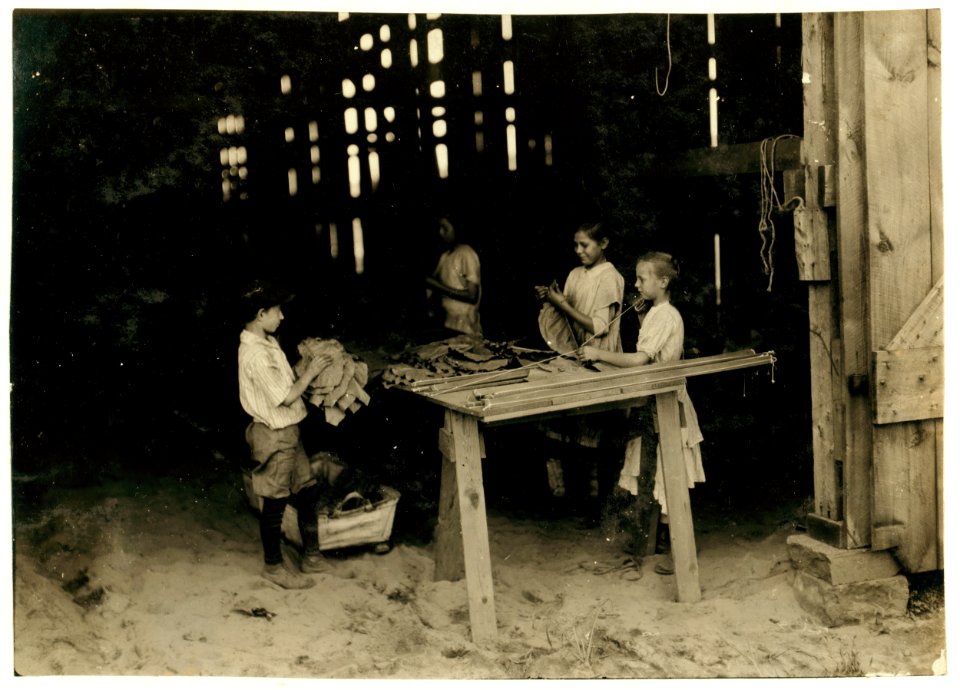 10 year old leaf boy and three 'stringers' 10, 12, and 13 years old. Tobacco shed of American Sumatra Tobacco Co. In these two sheds were 41 girls and boys from 10 to 15 years old, and only LOC nclc.00702