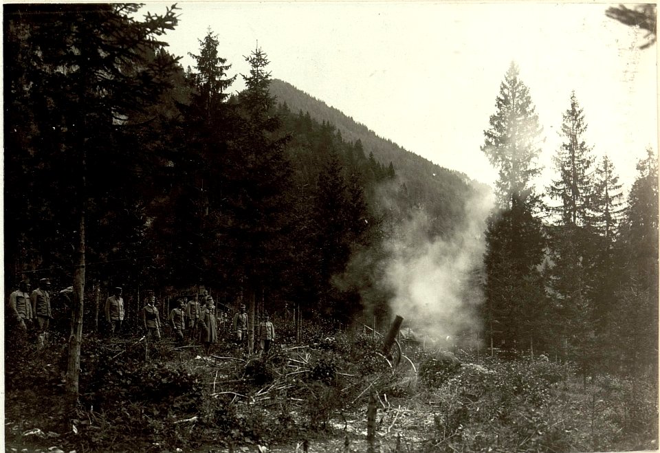 10 cm Panzerhaubitze M5 auf Feldlafette, (BildID 15460685)