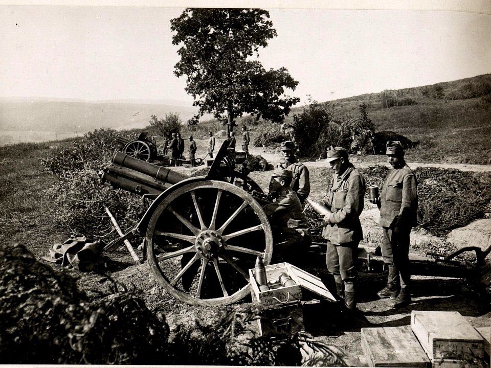 10 cm Feldhaubitze in maskierter Feuerstellung (BildID 15719862)