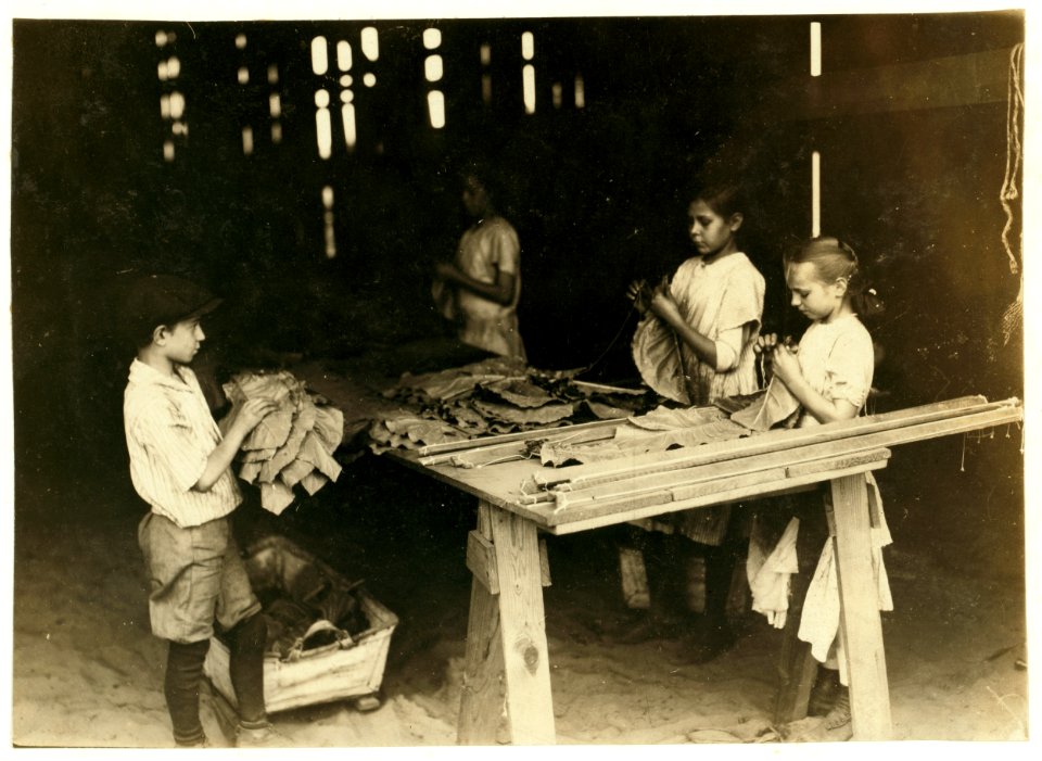 10 year old leaf boy and three 'stringers' 10, 12, and 13 years old. Tobacco shed of American Sumatra Tobacco Co. In these two sheds were 41 girls and boys from 10 to 15 years, and only 24 LOC nclc.00703