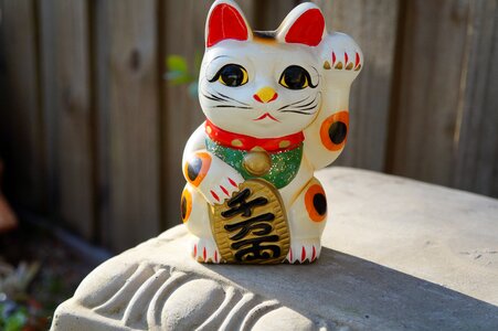 Japanese beckoning cat cat photo