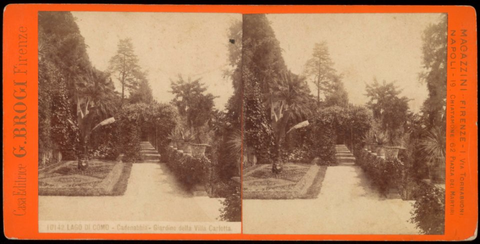 10142. LAGO DI COMO - Cadenabbia - Giardino della Villa Carlotta.