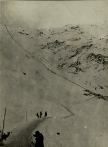1040 m lange Drahtseilbahn von der oberen Frondell-Alm auf die Köderköpfe führend 2-3 der Bahn ist eingedrückt. Standpunkt, Obere Frondell-Alm.(1517) (BildID 15469516)