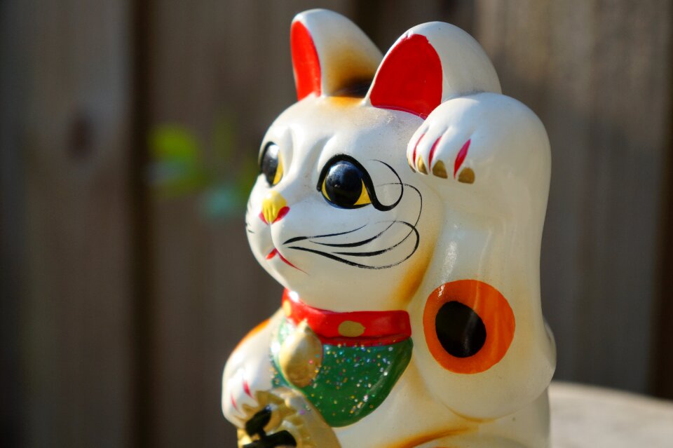 Japanese beckoning cat cat