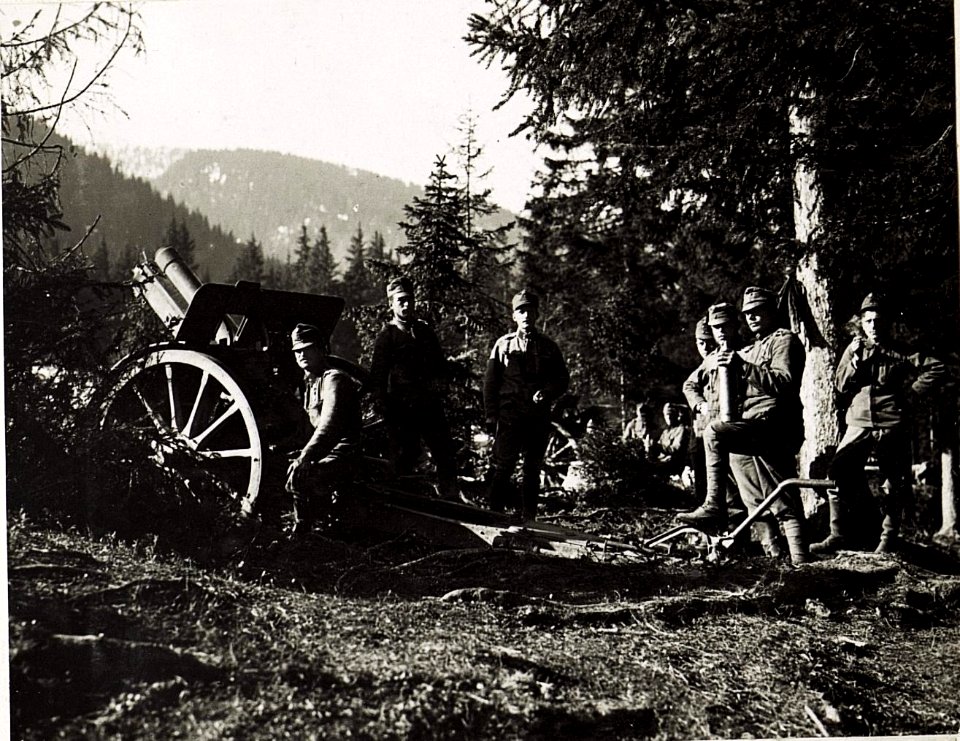 10cm Haubitzen auf Bambestaplateau. (BildID 15575508)