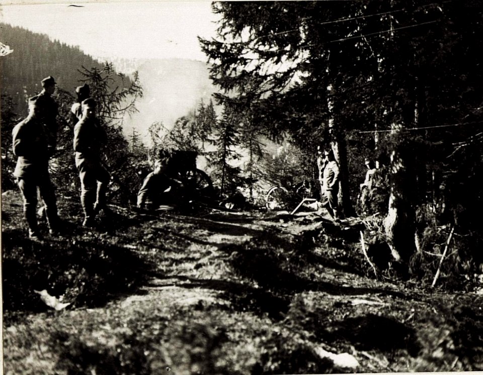 10cm Haubitzen auf Bambestaplateau. (BildID 15575417)