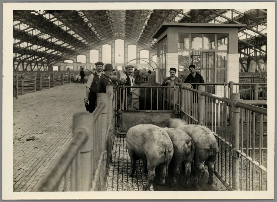 1108WP-4 - Abattoirs et marché aux bestiaux de la Mouche - Tony Garnier 10