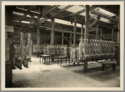 1108WP-4 - Abattoirs et marché aux bestiaux de la Mouche - Tony Garnier 2