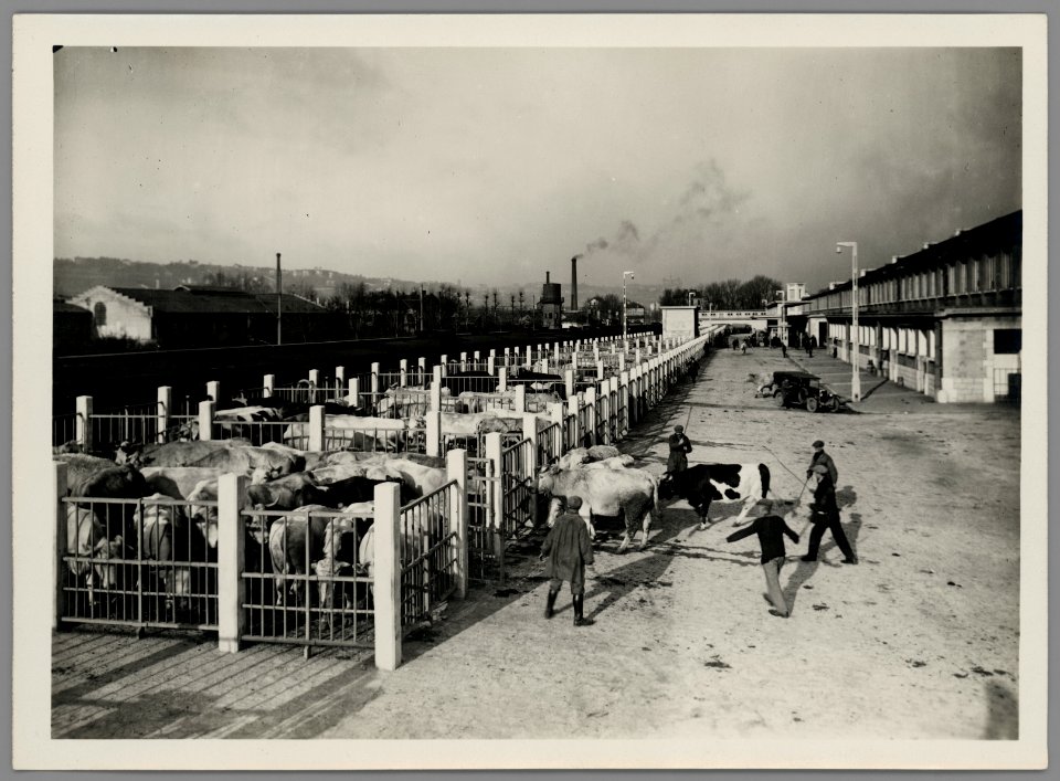 1108WP-4 - Abattoirs et marché aux bestiaux de la Mouche - Tony Garnier 4