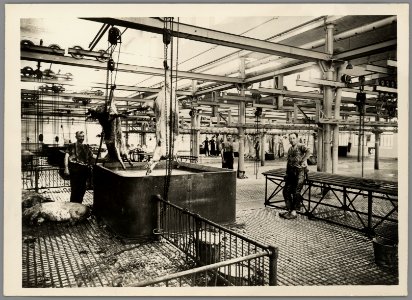 1108WP-4 - Abattoirs et marché aux bestiaux de la Mouche - Tony Garnier 5