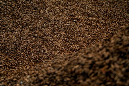 Ministro de la Producción Raúl Pérez -Reyes visita empresa Manutata, empresa castañera que se encarga del acopio y procesamiento de la materia prima hasta obtener castaña deshidratada (44451352851)