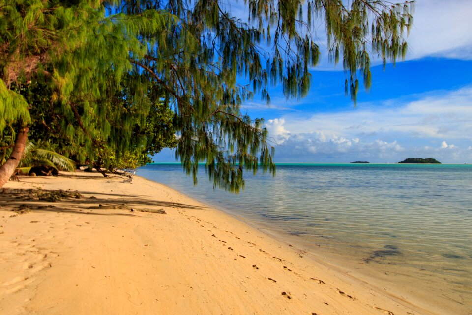 Tropical coast summer