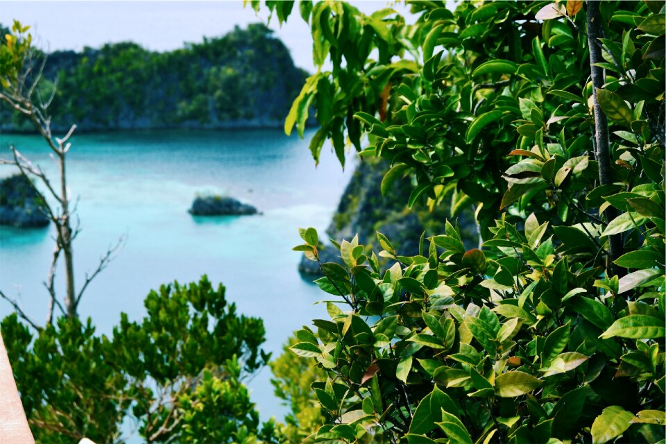 Green water cliffs