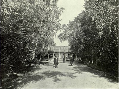 112 Красноярск Главная аллея в городском саду (cropped)
