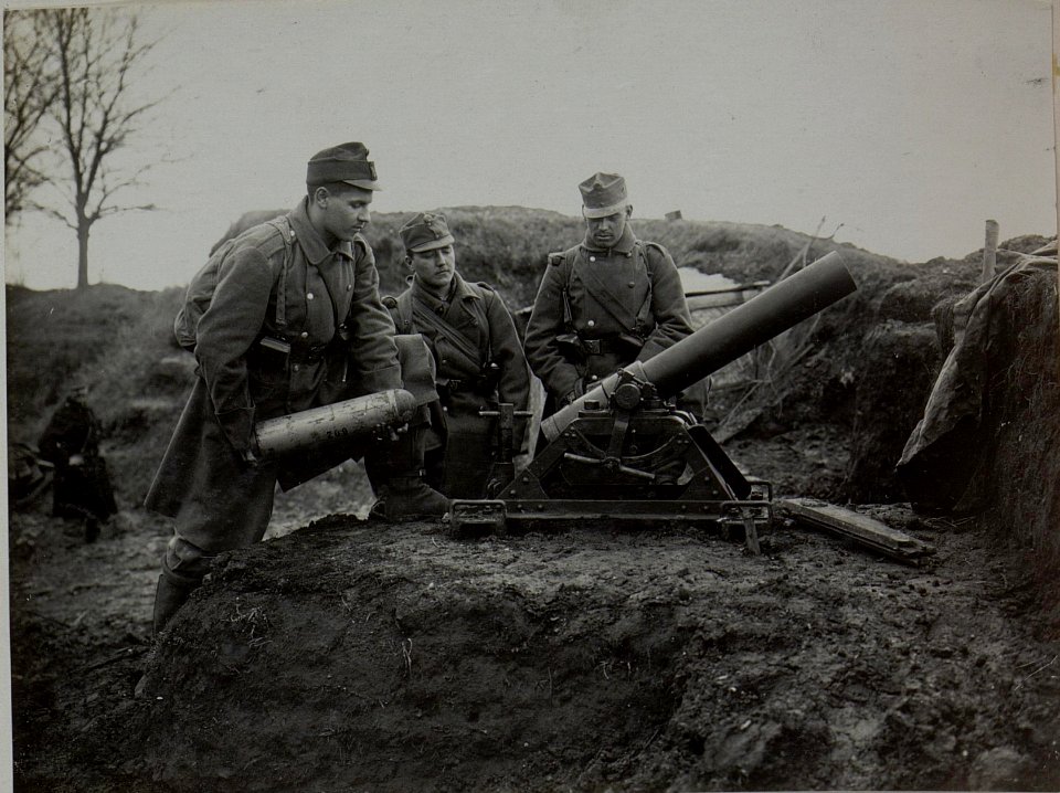 12 cm Minenwerfer - Sperrfort Dubno (BildID 15442741)