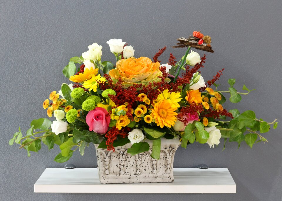 Nature arrangement gray nature