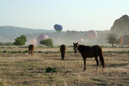 Cappadocia sky stone