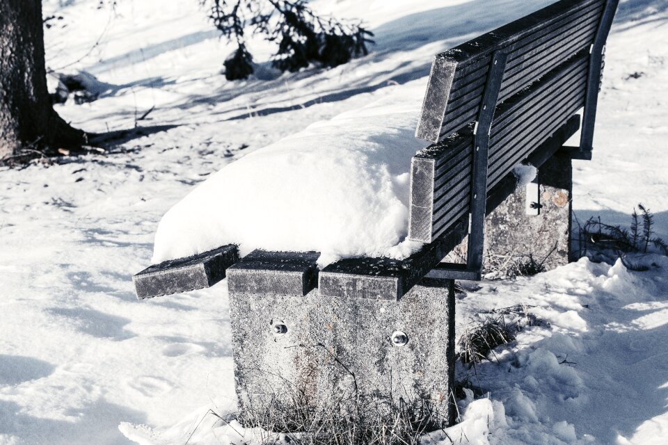 Snowy bank winter blast