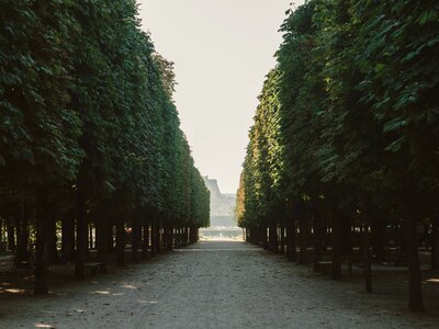 Park nature view