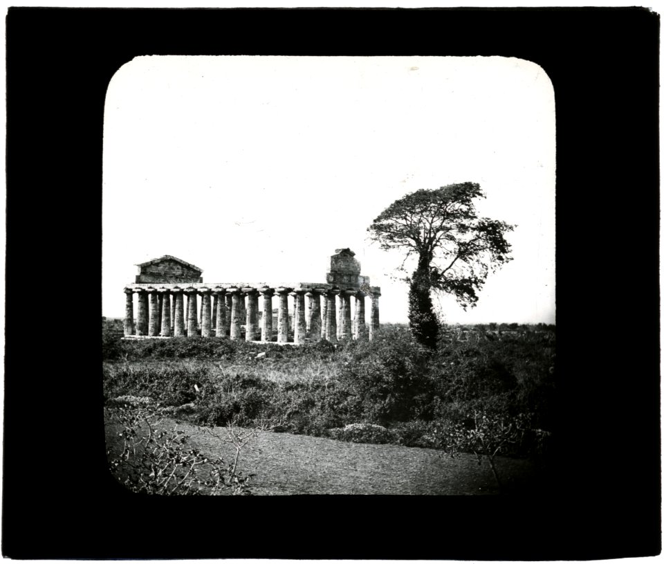 1325. Temple de Céres. Pestum. - FRAC31555 58Fi138