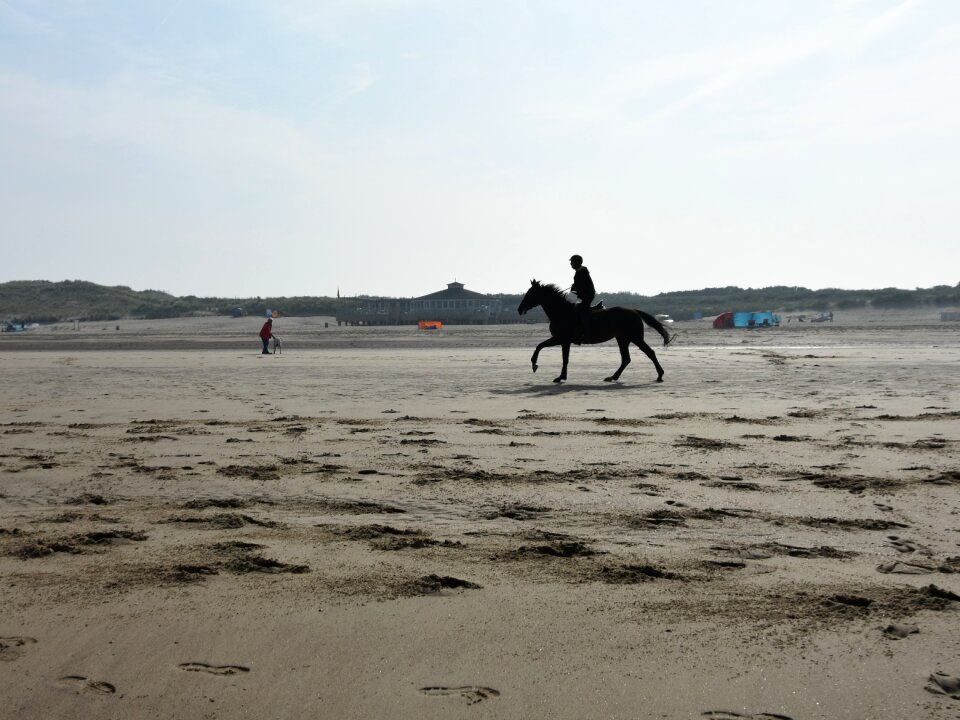 Equestrian vacations riding holidays