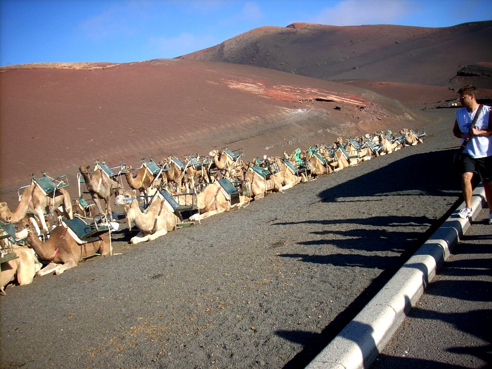 Lanzarote 054 (8125039955)