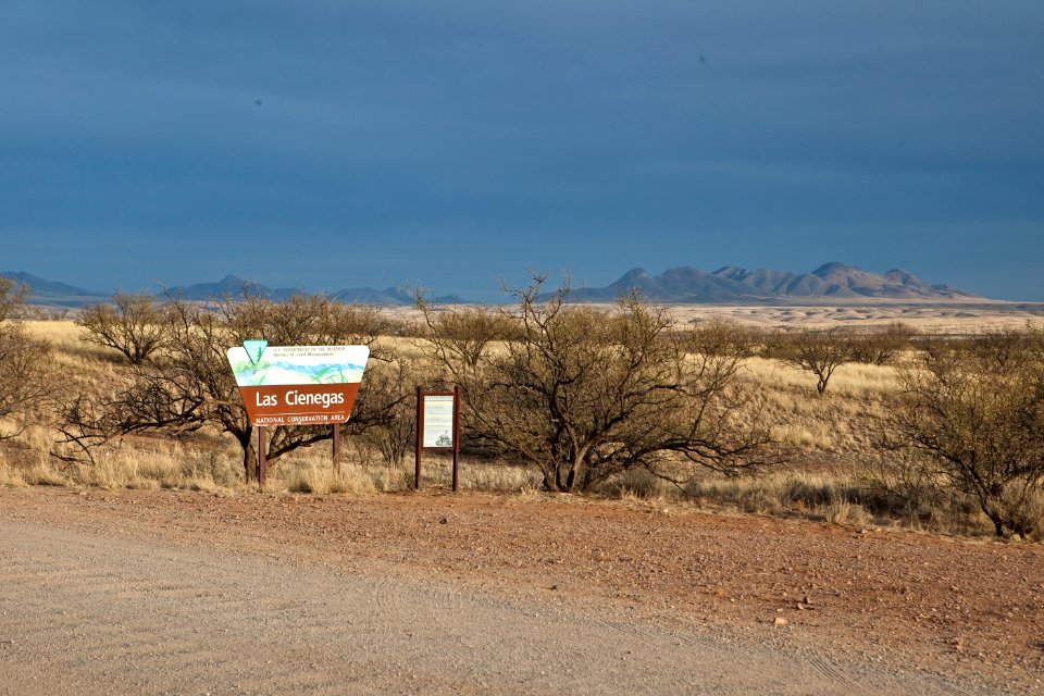 Las Cienegas National Conservation Area (26671780146)