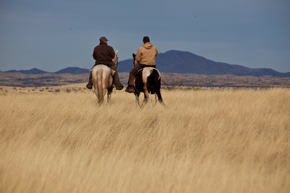 Las Cienegas National Conservation Area (26632576041)
