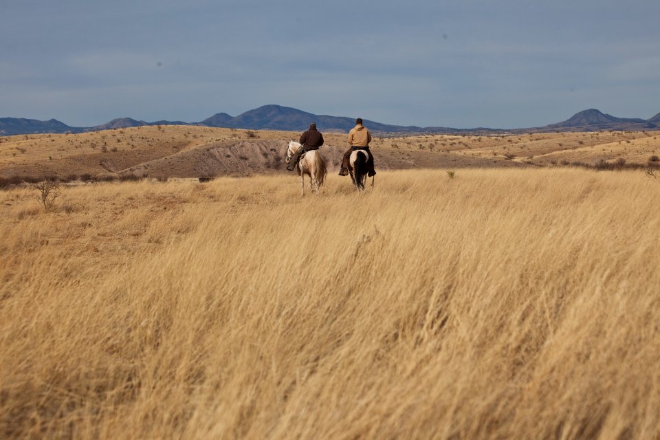 Las Cienegas National Conservation Area (26605624742)