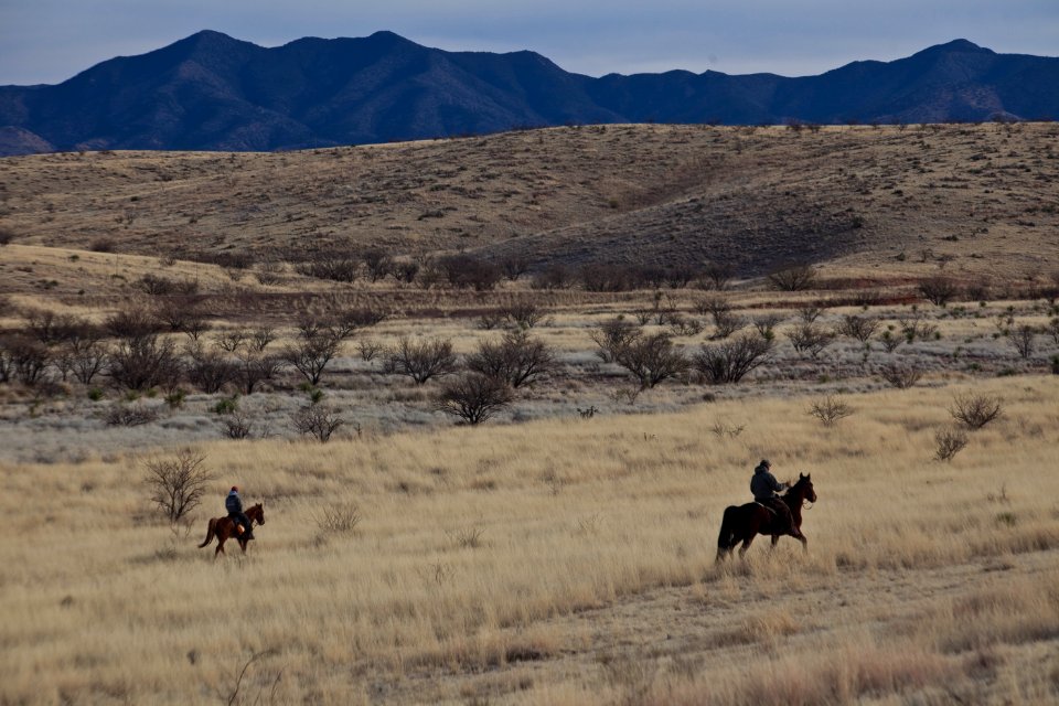 Las Cienegas National Conservation Area (26094594683)