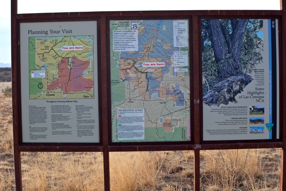 Las Cienegas National Conservation Area (26632538161)