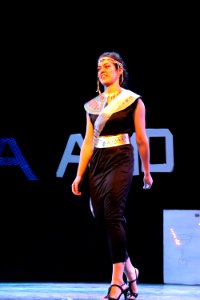 Latin America & Africa Day Performance (49140181101)