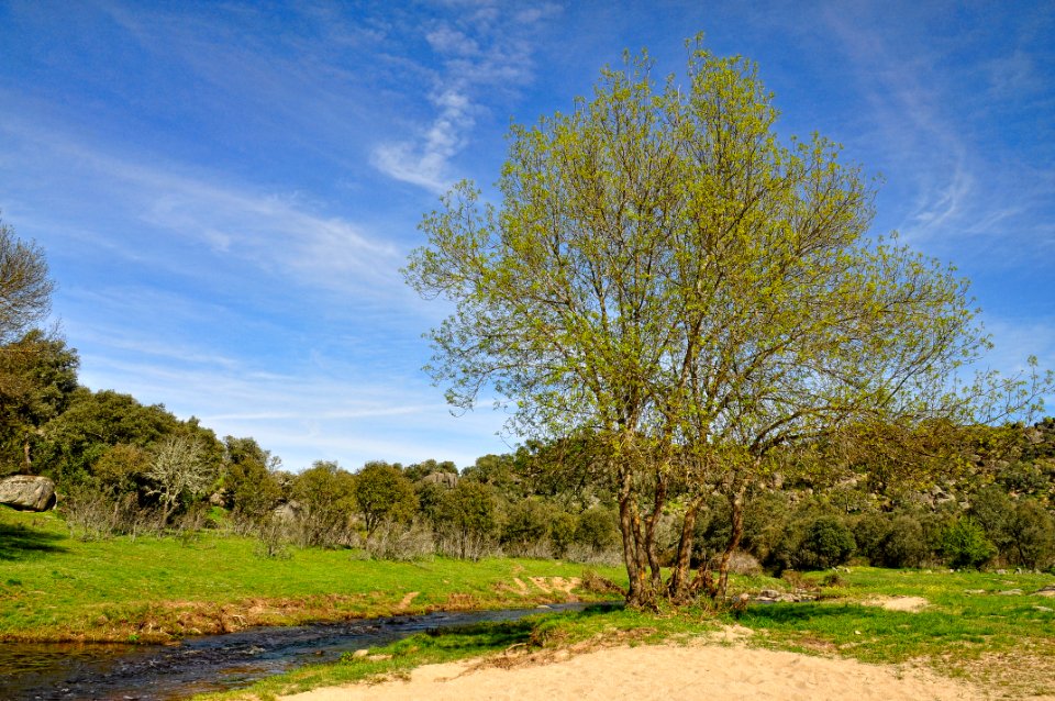 Ledesma - Salamanca (17674332609)