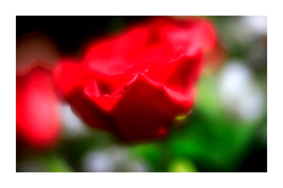 Lensbaby - Flickr - GR167