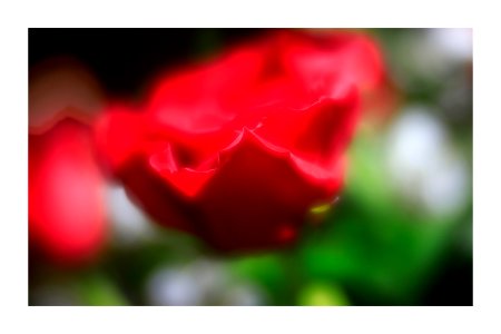 Lensbaby - Flickr - GR167