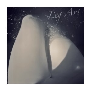 Leg Art XI (48578396121)