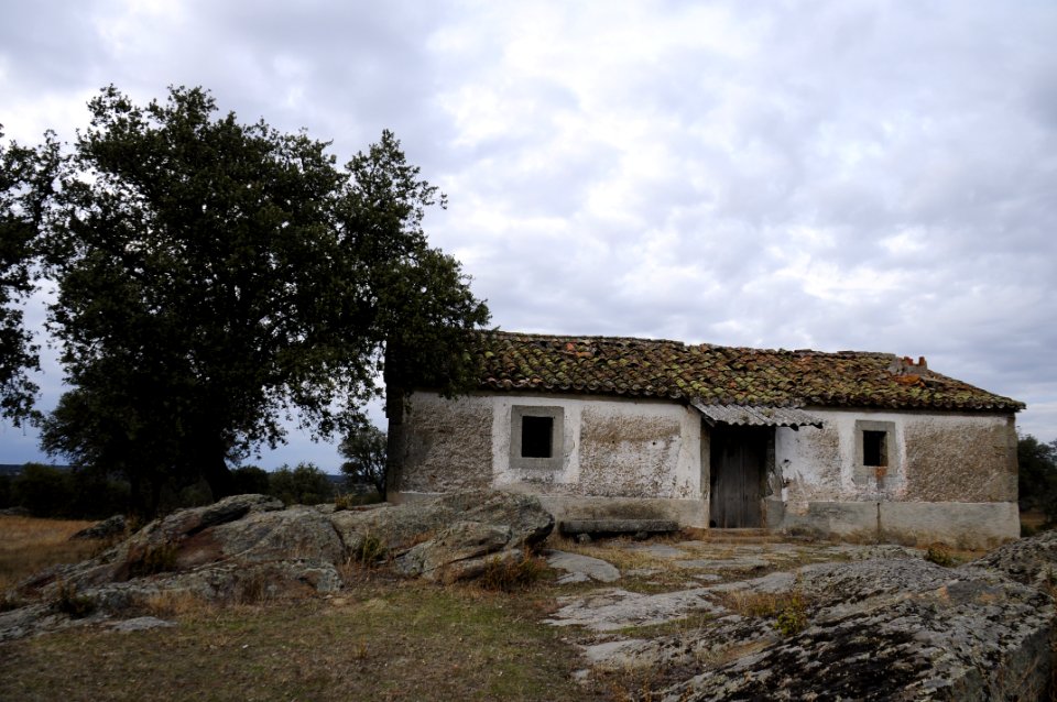 Ledesma (15509478104)