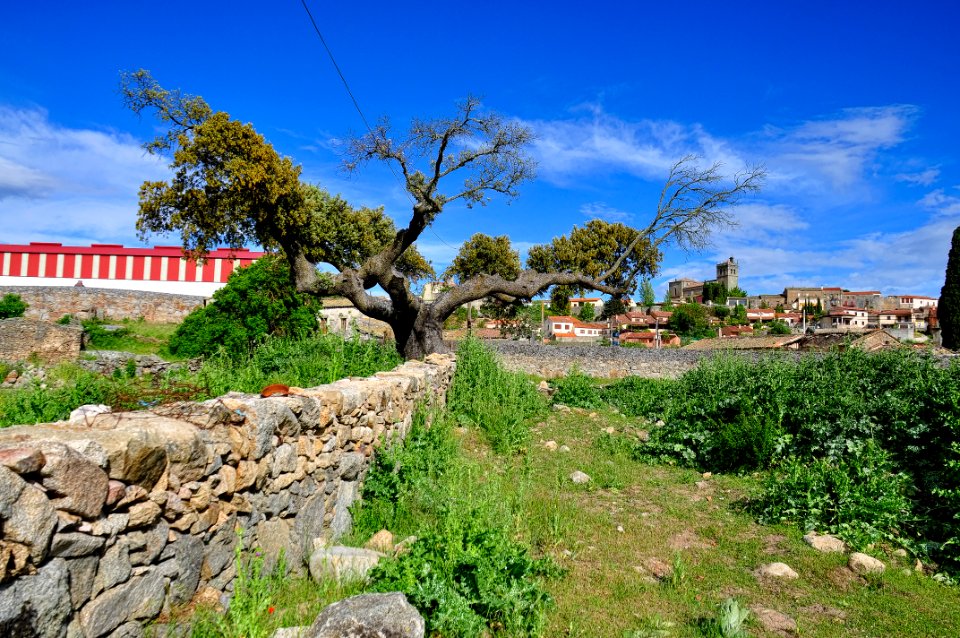 Ledesma (16139184375)