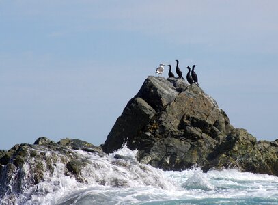Rocks stones wave