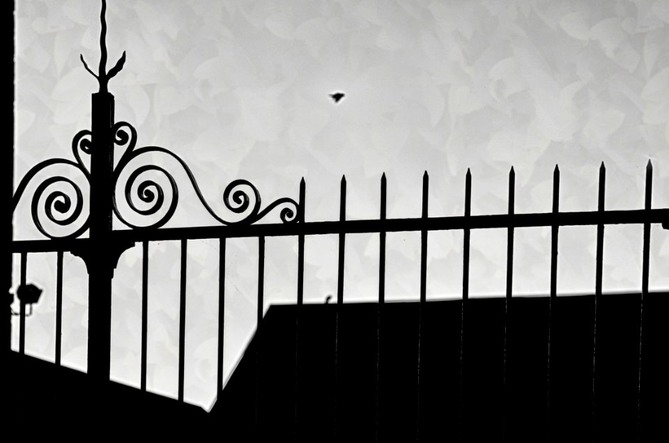 Lignes dans le crepuscule (29984852138)