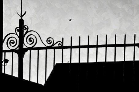 Lignes dans le crepuscule (29984852138)